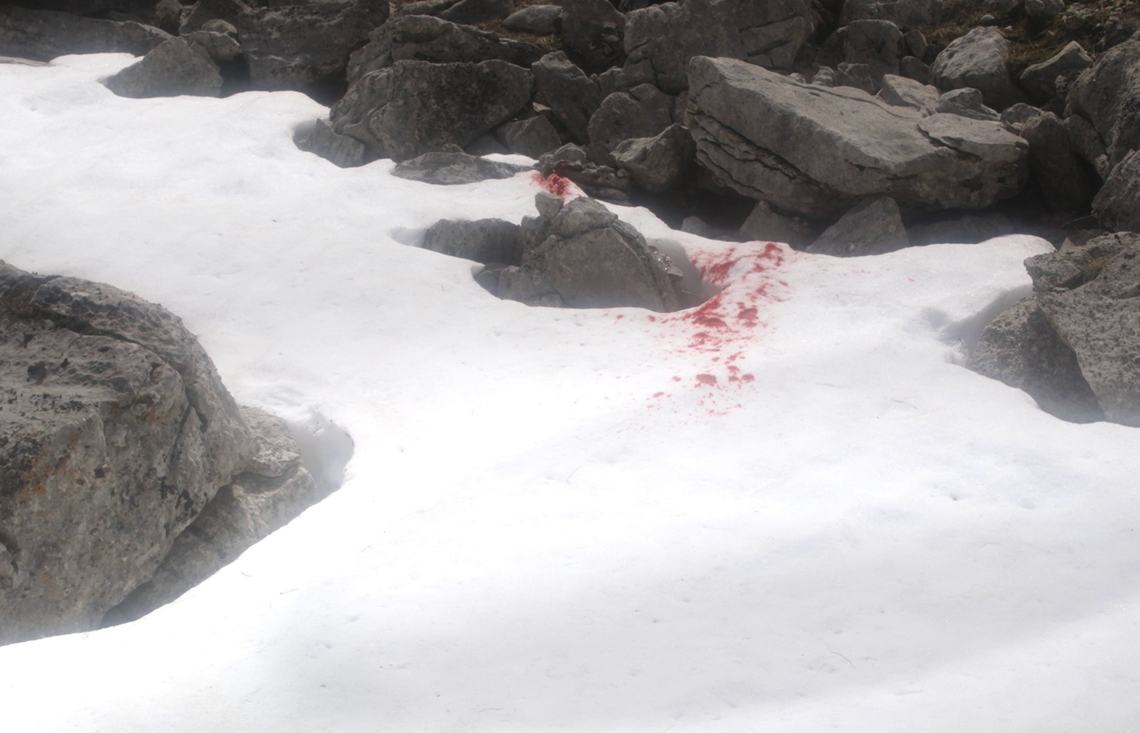 A film still with a rocky mountain plain covered in snow with a distinct blood splatter on it.