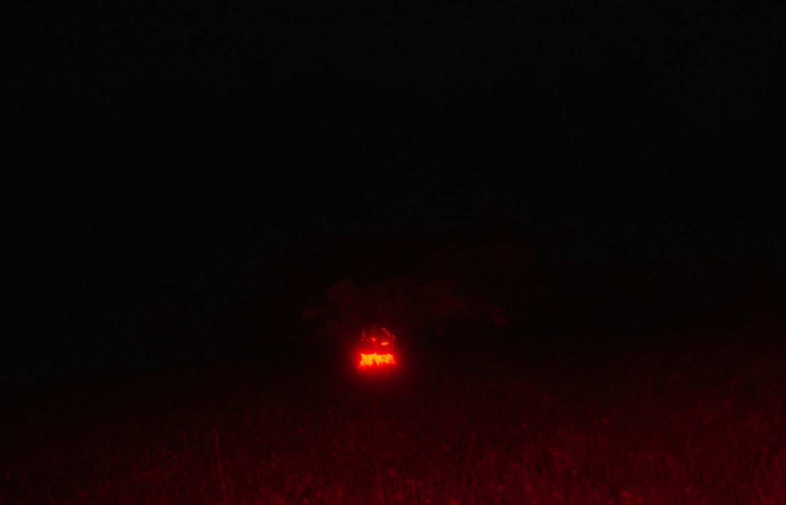 A film still with a wide shot in the dark where we see only a girl seating, with reflective trousers beaming red and a passing moth, also flooded in red.