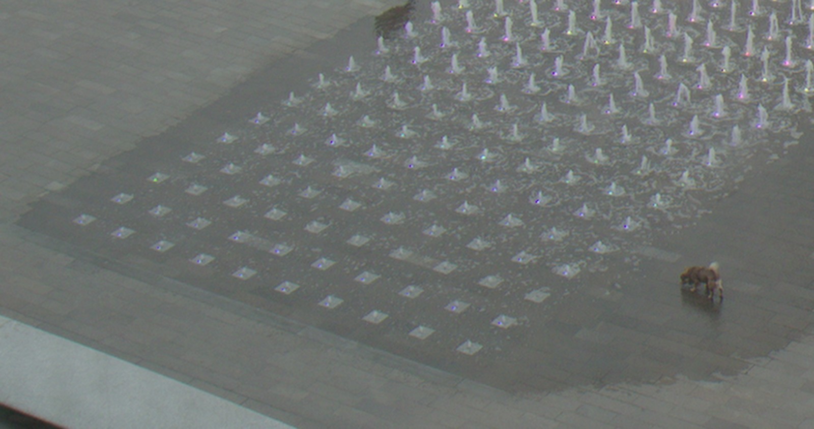 Granary Squares